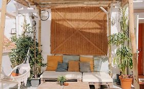 The Urban Jungle Hostel